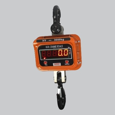Crane Overload Protection System