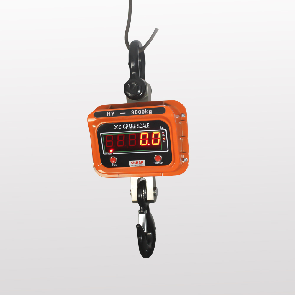 Crane Overload Protection System